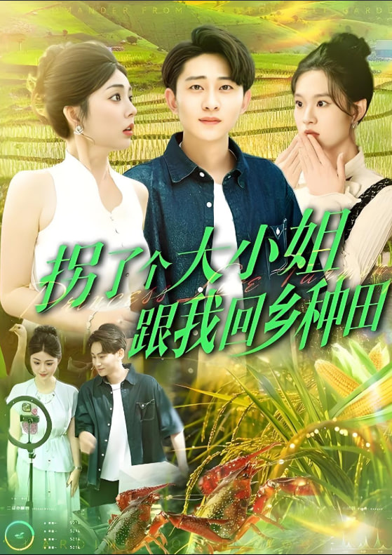 拐了个大小姐跟我回乡种田 - 第110集完结_学术文化解析_星宇影戏-影视解说